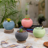 Multi Colored Indoor Pots (Set of 4) | Blue, Charcoal, Light Pink, Light Green
