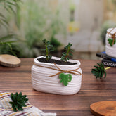 White Textured Indoor Pot (Medium Size)