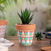 Triangle Pot in Multi-Color