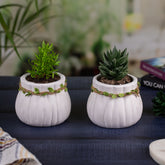 Cute Pot Set of 2 with jute Rope Detailing