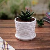 Elegant Glossy White Pot with Self-Design