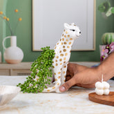 White and Golden Leopard