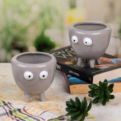 Grey Pot Indoor Plant ( Set of 2)