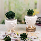 Indoor Pot Set of 2 ( White)