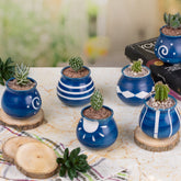 Cute Blue Indoor Pots ( Set of 5)