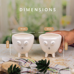 Indoor Pot Set of 2 ( White)