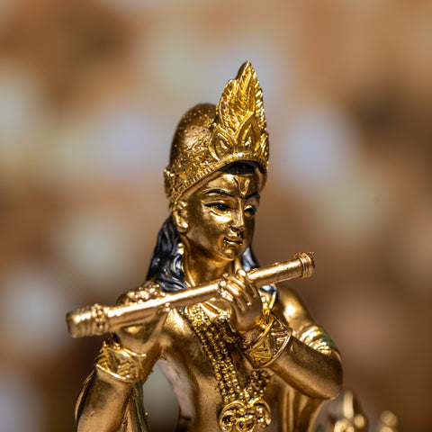 Krishna ji flute