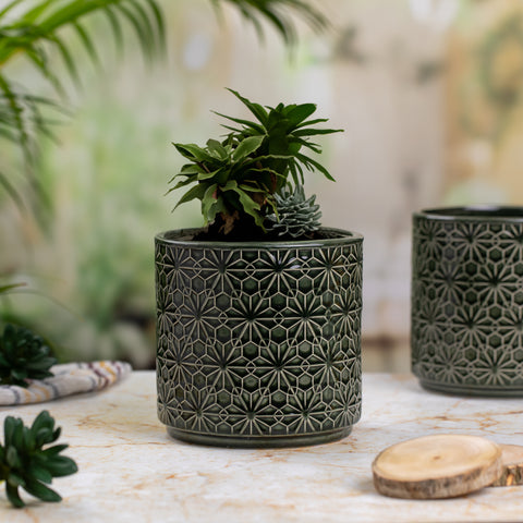 Medium Size Indoor Pot in Dark Green