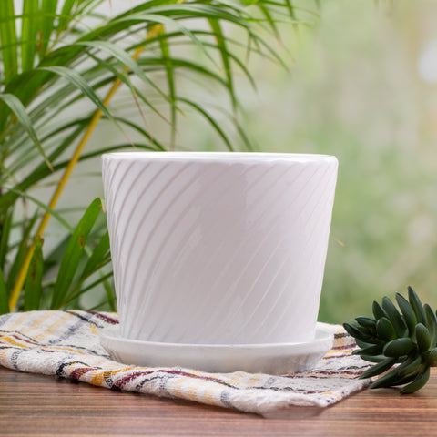 White Ceramic Indoor Pots for Plants