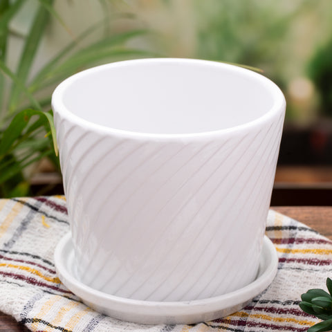 White Ceramic Indoor Pots for Plants