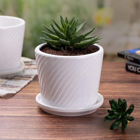 White Ceramic Indoor Pots for Plants