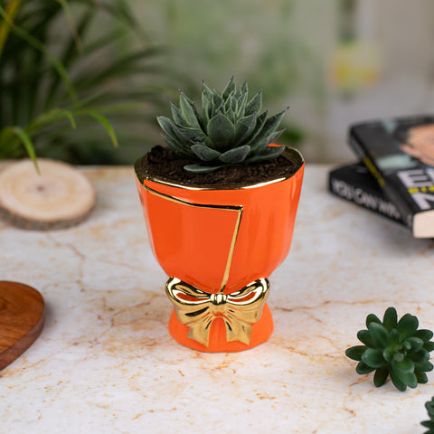 Bouquet Shape Indoor Pot in Neon Orange