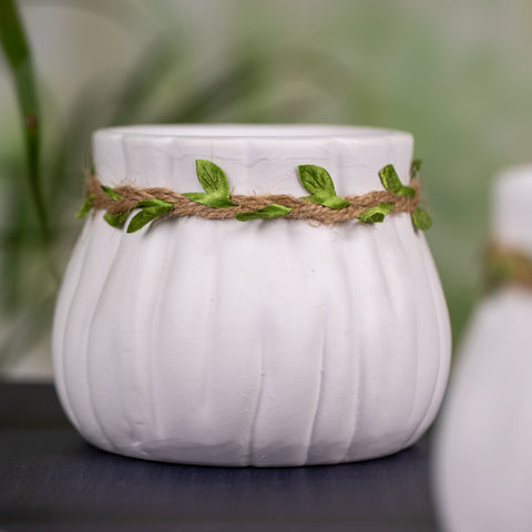 Cute Pot Set of 2 with jute Rope Detailing