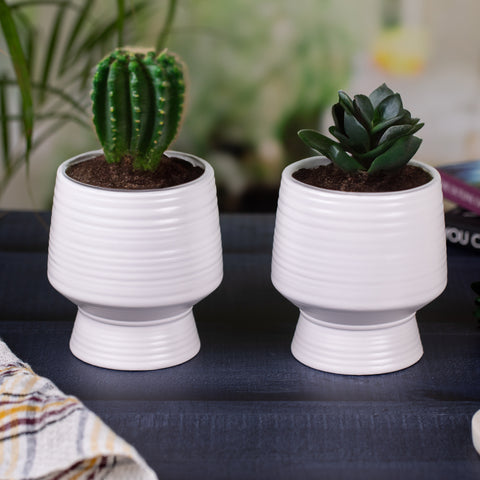 Glossy Cute Pot Set of 2