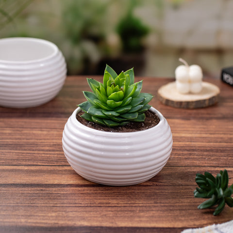 White Sleek Round Pot