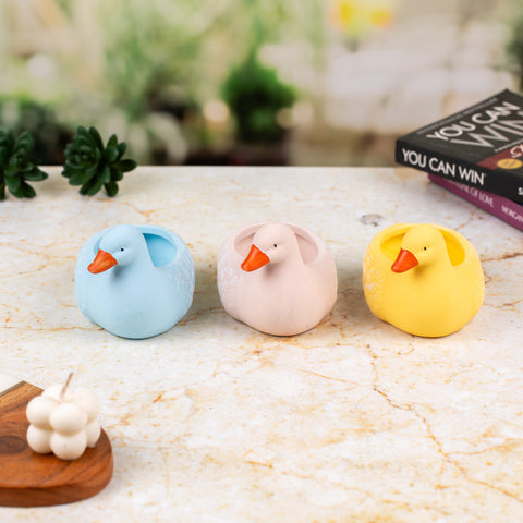 Indoor Pots - Duck ( Set of 3 )