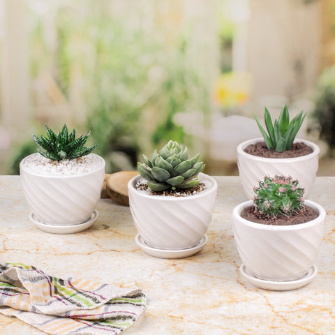 Indoor Pots Set of 4