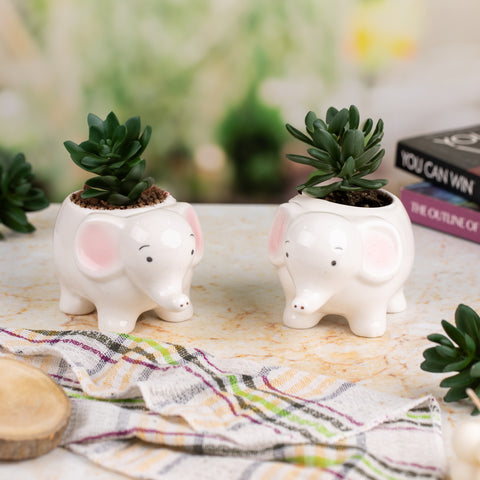 Elephant Indoor Pots ( Set Of 2)