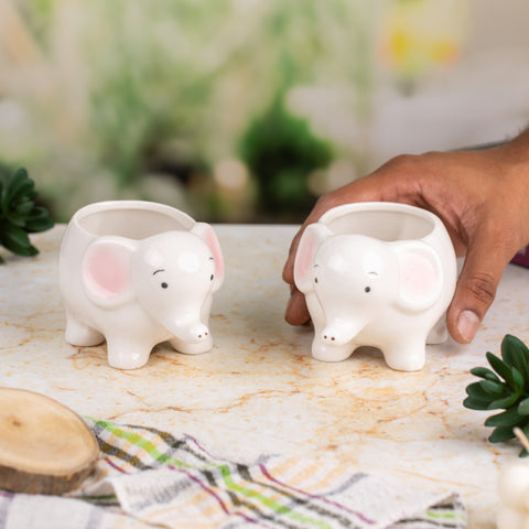 Elephant Indoor Pots ( Set Of 2)