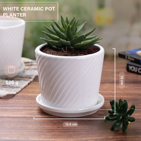 White Ceramic Indoor Pots for Plants