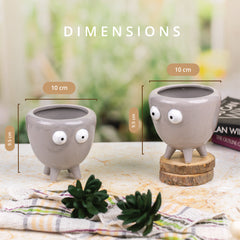 Grey Pot Indoor Plant ( Set of 2)