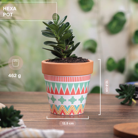 Patterns Triangle Pot