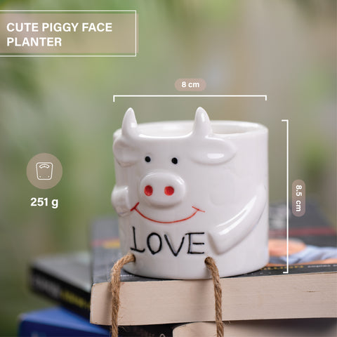 Cute piggy face Indoor Pot with Legs hanging